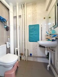 Blk 110 Mcnair Spring (Kallang/Whampoa), HDB Executive #543880221